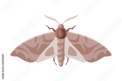Clothes Moth Winged Insect, Pest Control and Extermination Concept Vector Illustration on White Background