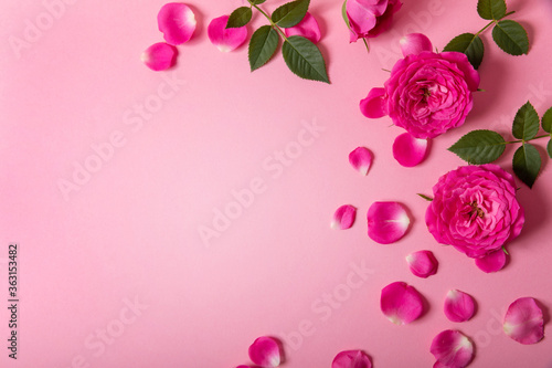 rose flowers and petals on pink background with copy space
