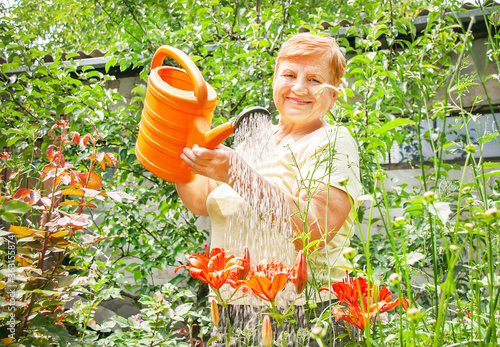 Gardener active senior elderly woman is watering flowers in the garden.