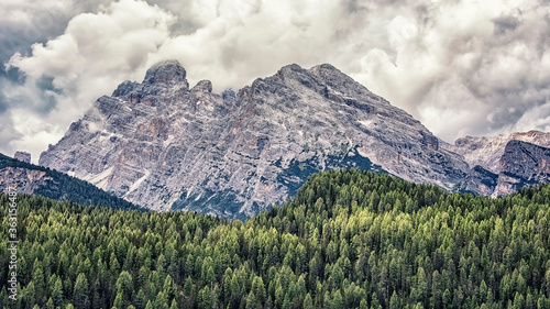 Canvas-taulu Forest in the dolomites mountains, Italy