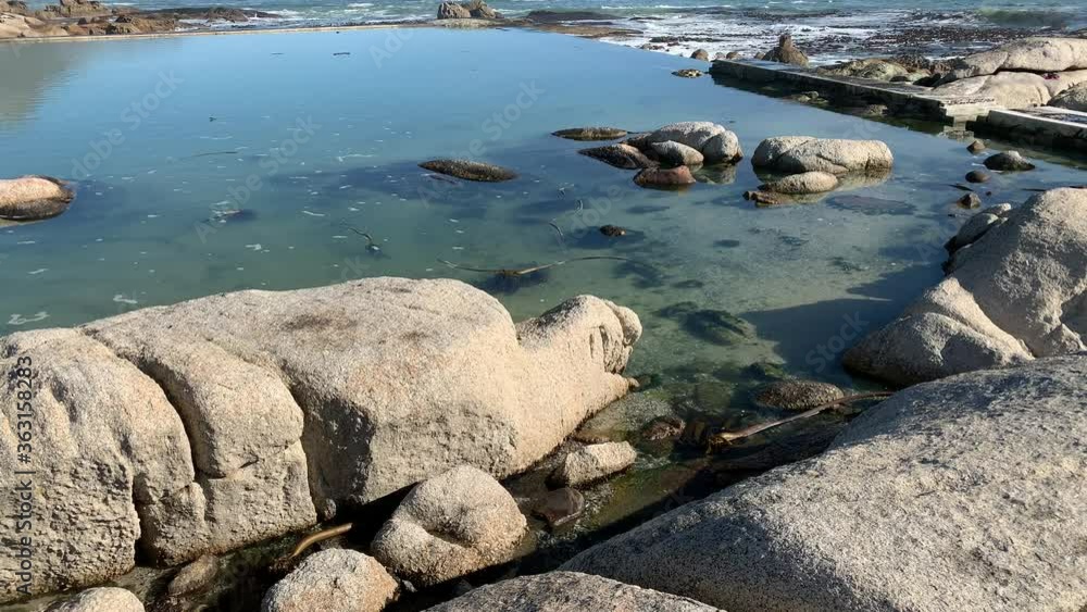 Broken kelp by the rough oceans washed up over the tidal swimming pool of Camps Bay by the Atlantic Ocean Broken kelp by the rough oceans washed up over the tidal swimming pool of Camps Bay by the Atlantic Ocean