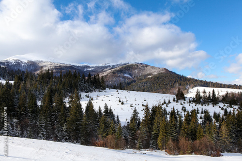 snow covered Carpathians mountains 