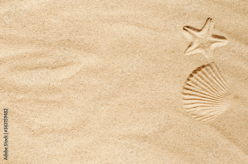 Fototapete Top view of a sandy beach, texture of clean sand of a natural surface