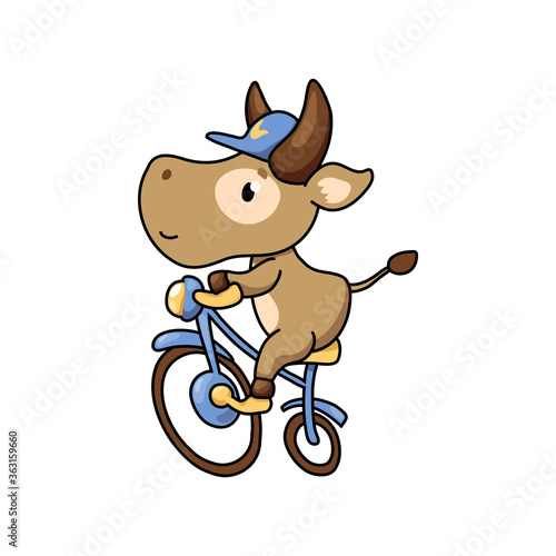Cute cow ride bicycle. Summer sport animal. 2021 Year Lunar Zodiac Animal. Chinese New Year of Ox. Cow vector illustration on white background. Friendly bull mascot. Domestic farm animal icon