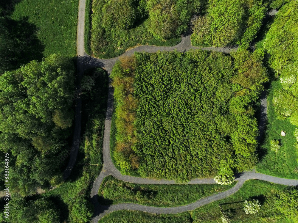 Aerial top down view on a footpath in a park. Green meadow and trees. Abstract shapes.