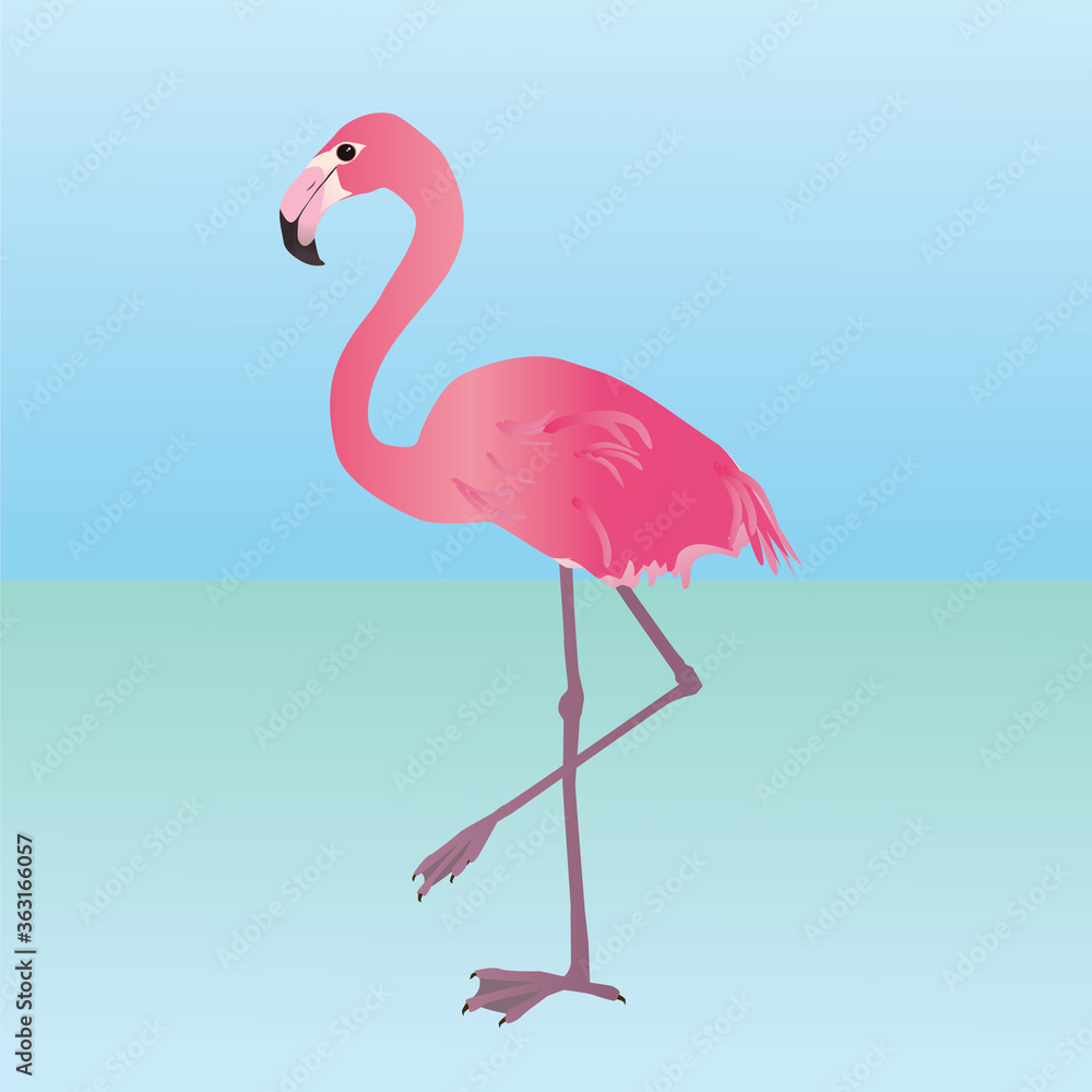 Fototapeta An illustration of a pink flamingo. He is holding one leg up.