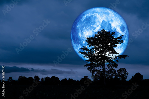 Full Crust blue Moon and silhouette tree in the field and night sky