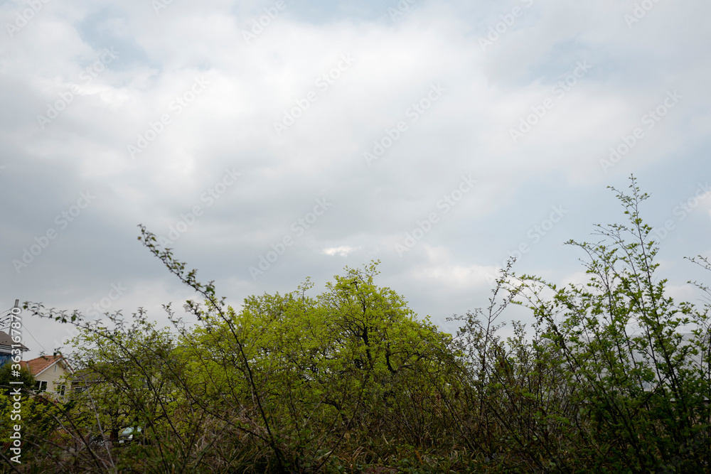 どんよりした空 どんよりした空