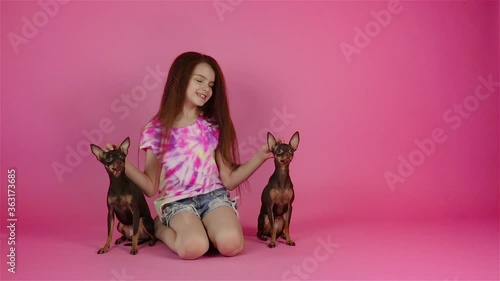 Beautiful child sits with two russian toy terrier dogs