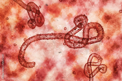 Microscopic view of the ebola virus illustration photo
