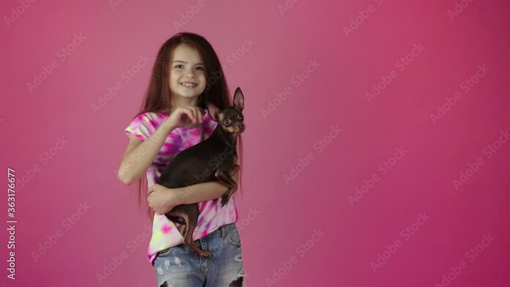Cute child petting a russian toy terrier dog Cute child petting a russian toy terrier dog
