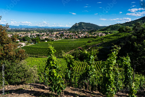 Panoramic view of the green french vineyard at Cornas village with Valence city and mountains on the background under evening light. France 2020.