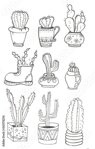 set of cacti in pots for coloring book