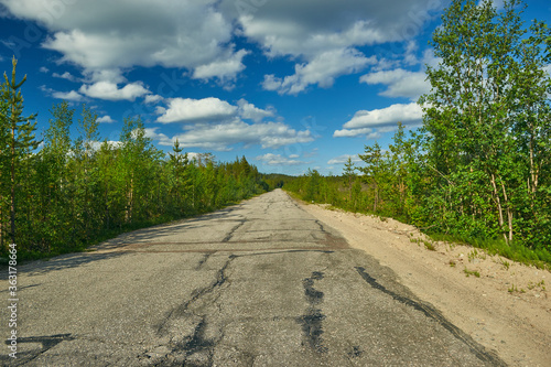 Dirt road in a beautiful green forest in Karelia.