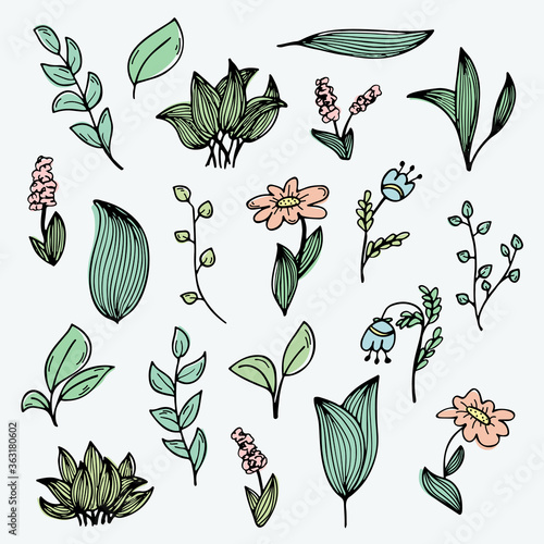 A set of hand-drawn doodles of flowers and plants. Color illustrations