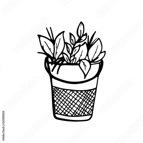Plants and leaves in a metal bucket. Hand-drawn doodles.