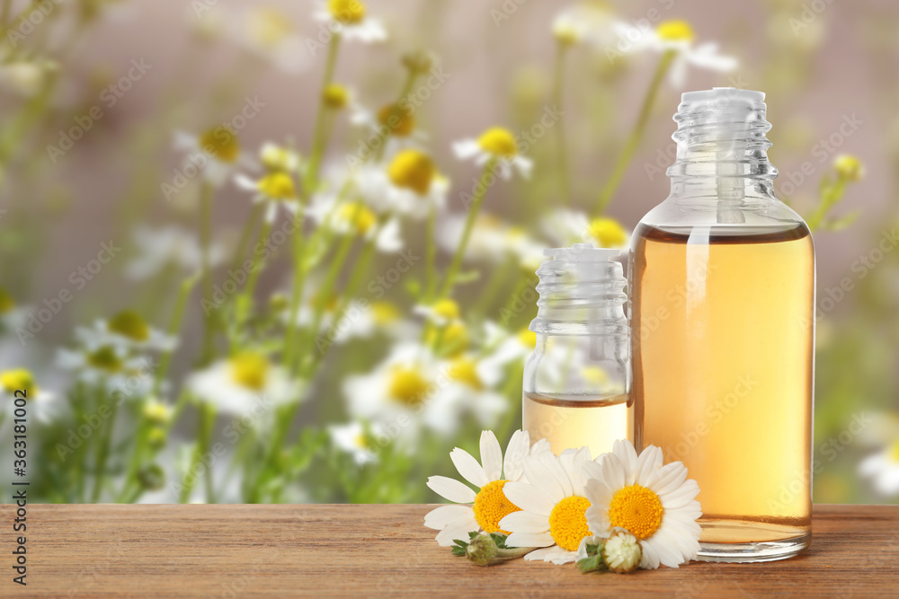 Bottles of essential oil and chamomile flowers on wooden table against blurred background. Space for text Bottles of essential oil and chamomile flowers on wooden table against blurred background. Space for text