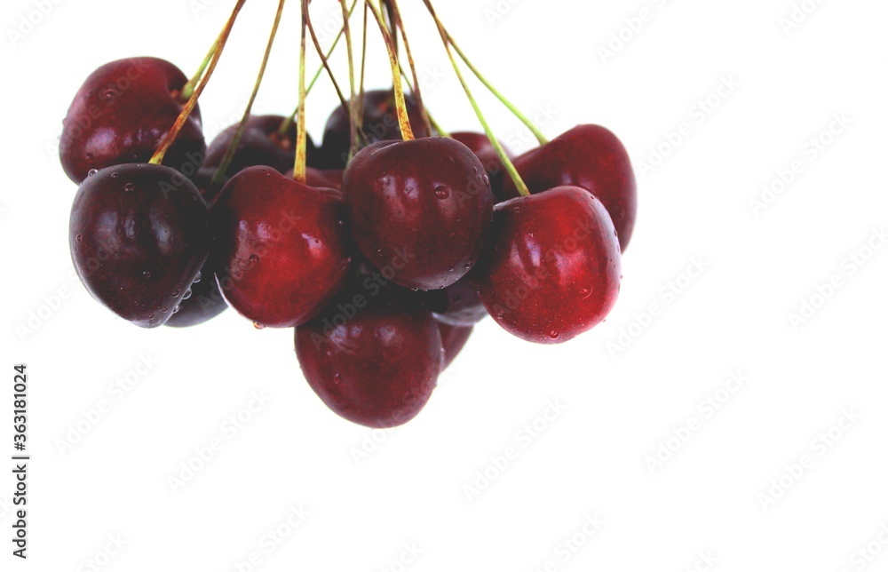 bunch of fresh cherries on a white background bunch of fresh cherries on a white background