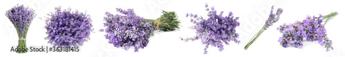 Set of beautiful tender lavender flowers on white background. Banner design