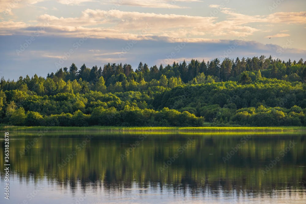 Scenic view of the forest by the lake. Beautiful summer landscape with a lake and trees.