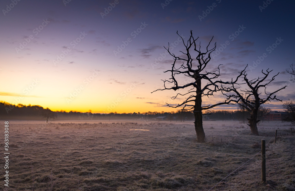 Fototapeta premium Winter sunrise