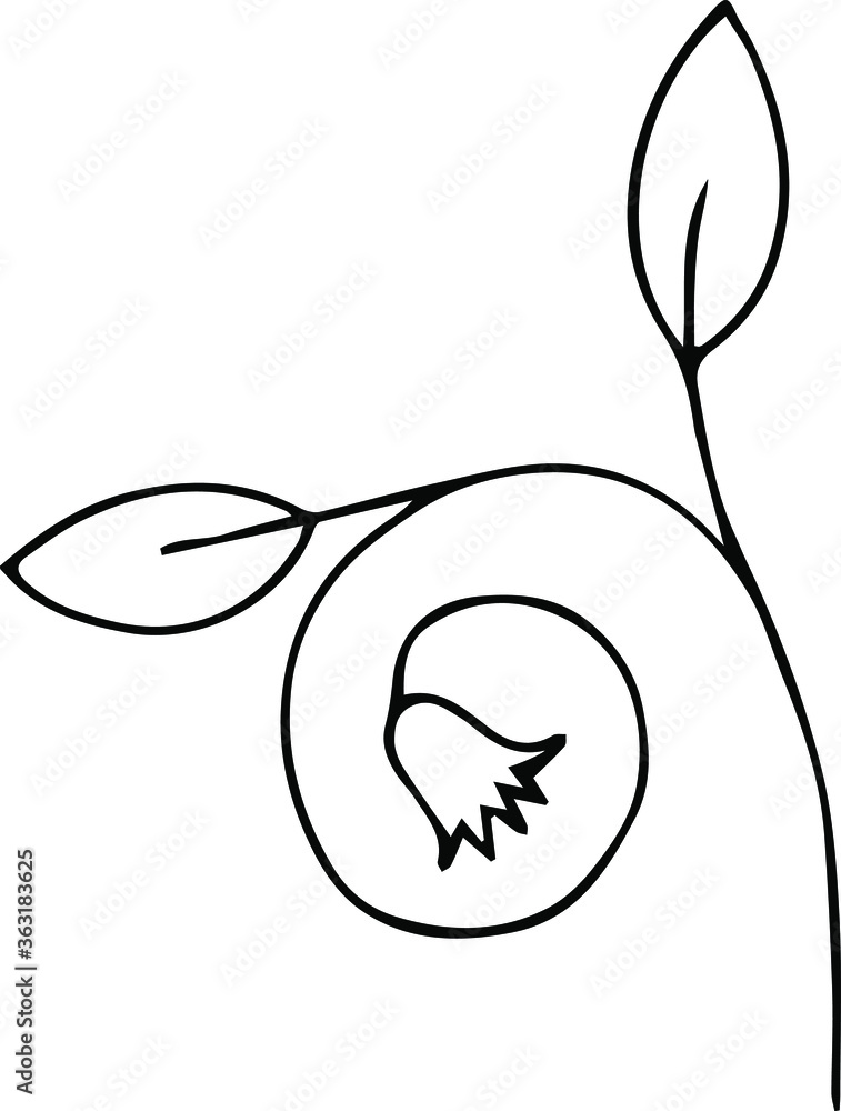 Flower plant drawn as a sketch. Flowering plant sketch. Flower plant drawn as a sketch. Flowering plant sketch.