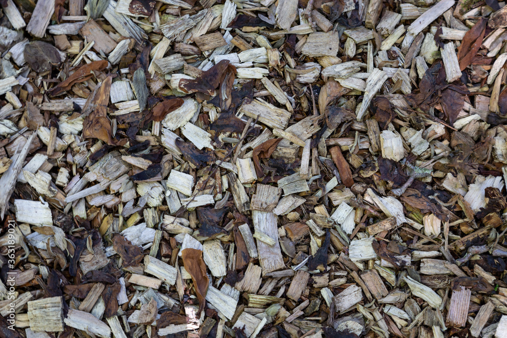 Rindenmulch auf einem Gartenbeet Rindenmulch auf einem Gartenbeet