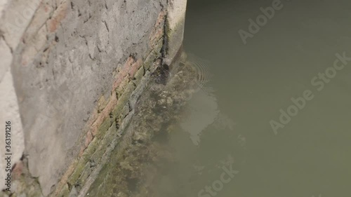 Wallpaper Mural The water motionless in a canal of Venice, Italy. Torontodigital.ca