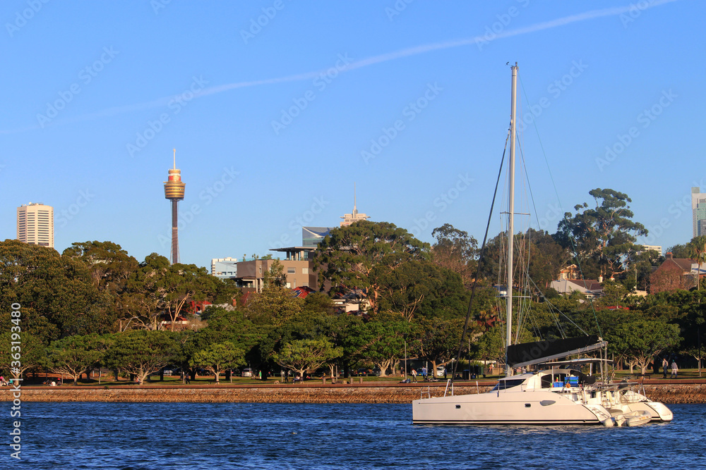 Catamaran in the water with trees and tower in the background.