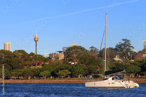 Catamaran in the water with trees and tower in the background. photo