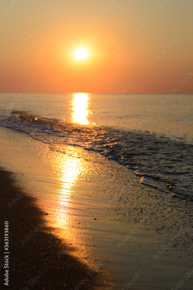 pebbles and shells on the morning wet sand at dawn