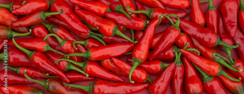 More pods of red and green hot chili peppers are in the basket. Harvest of red and green hot chili peppers.