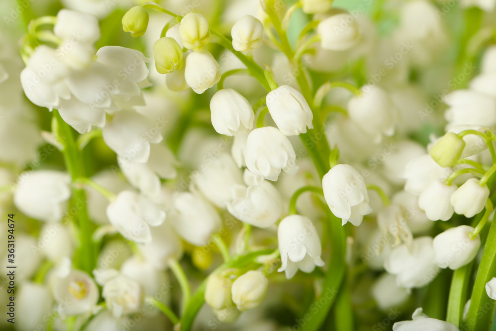 Beautiful lily of the valley flowers as background, closeup Beautiful lily of the valley flowers as background, closeup