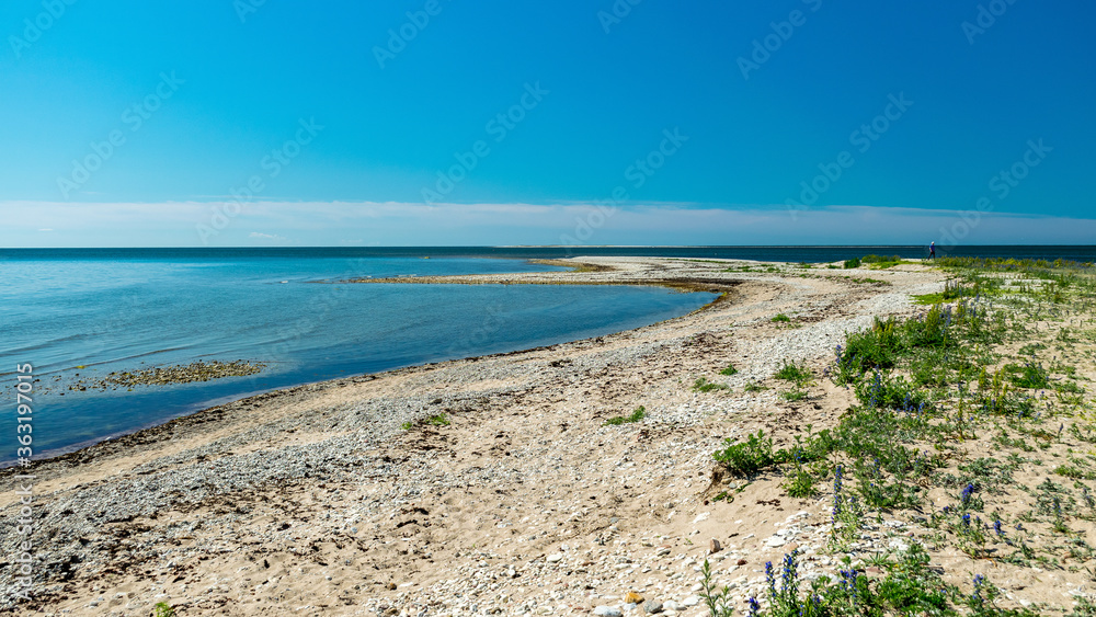 traditional Saaremaa seascape, Baltic Sea, Saaremaa Island, Sorves Peninsula, Estonia
