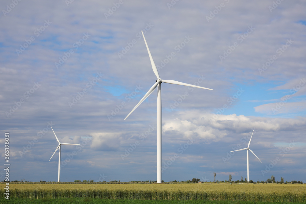Beautiful view of field with wind turbines. Alternative energy source Beautiful view of field with wind turbines. Alternative energy source