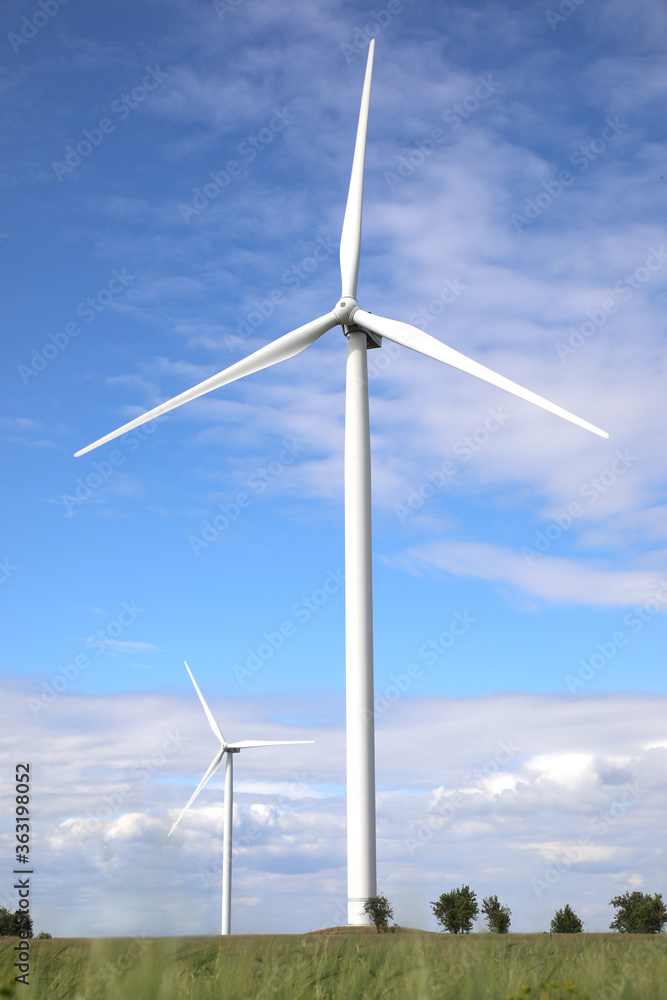 Fototapeta premium Beautiful view of field with wind turbines. Alternative energy source