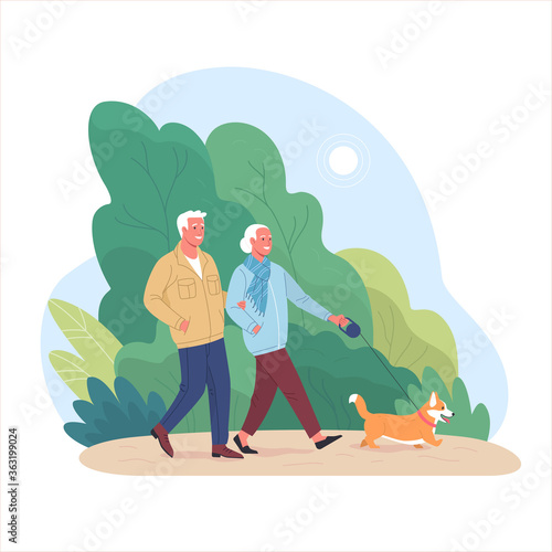 Elderly couple spends time outdoors.Vector illustration of cartoon happy senior man and woman walking in summer park with corgi dog. Isolated on background