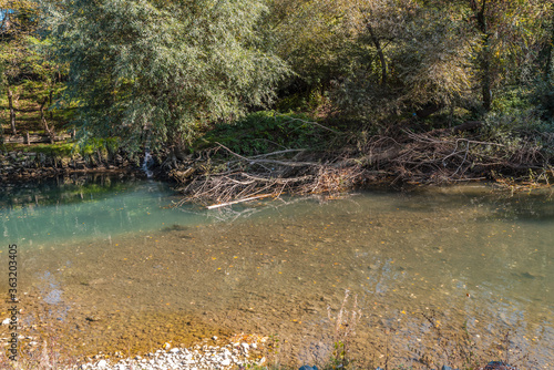 Beautiful river in Banja Luka and the tree reflection on water close up