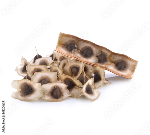 Moringa Oleifera Medicinal and Culinary Fruit Seed Closeup Isolated on White Background. Also Known as Drumstick Tree, Horseradish Tree, and Ben Oil or Benzoil Tree.