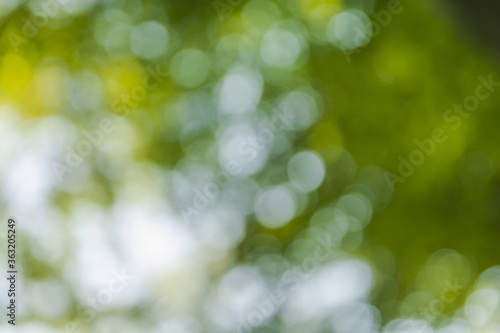 Abstract blurred nature background with bokeh for creative designs
