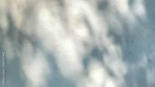 Intentionally blurred image of shadows of foliage moved by the wind  reflected on a light grey wall.