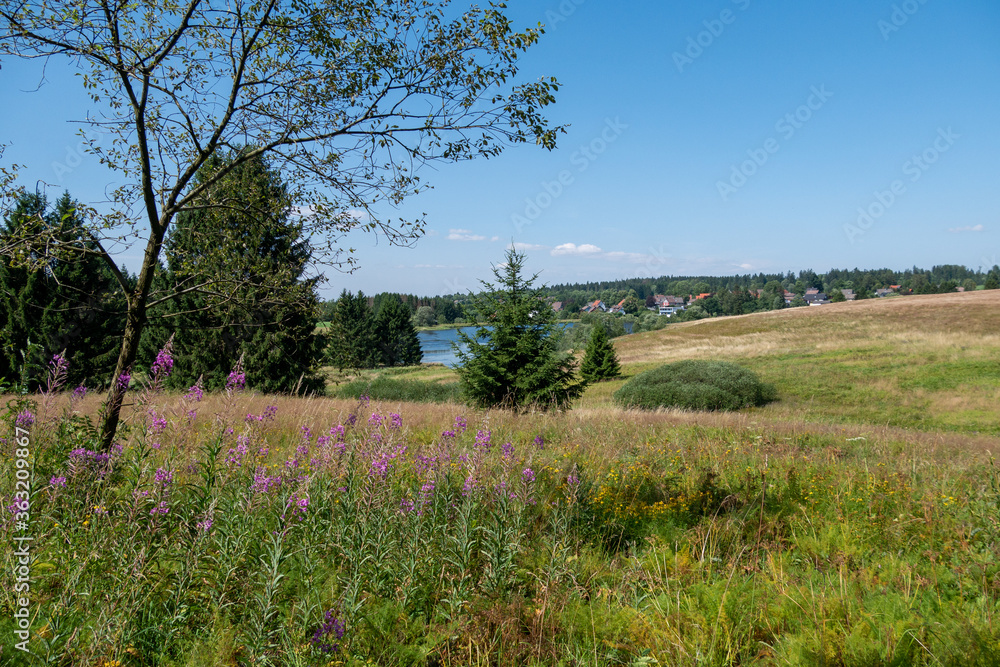 Landschaft Landschaft