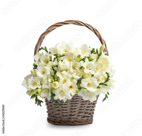 Beautiful freesia flowers in basket on white background © New Africa