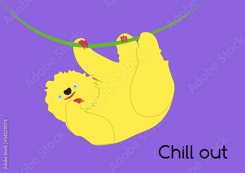 Lovely sloth hanging on a liana