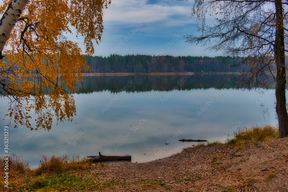 Reflection of the cloudy blue sky in the smooth water of the lake, autumn landscape, low-hanging tree branches Reflection of the cloudy blue sky in the smooth water of the lake, autumn landscape, low-hanging tree branches