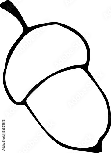 Vector illustration of acorn, oak seed in Doodle style, black outline on an isolated white background. Concept of seasonality, nature, autumn, forest, ecology