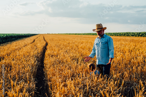 farmer and his grandson walking fields of wheat © cherryandbees