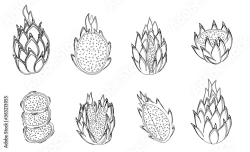 Vector set of outline pitaya fruits. Isolated sketch of dragon fruit. Tropical exotic black and white slice and whole pitahaya
