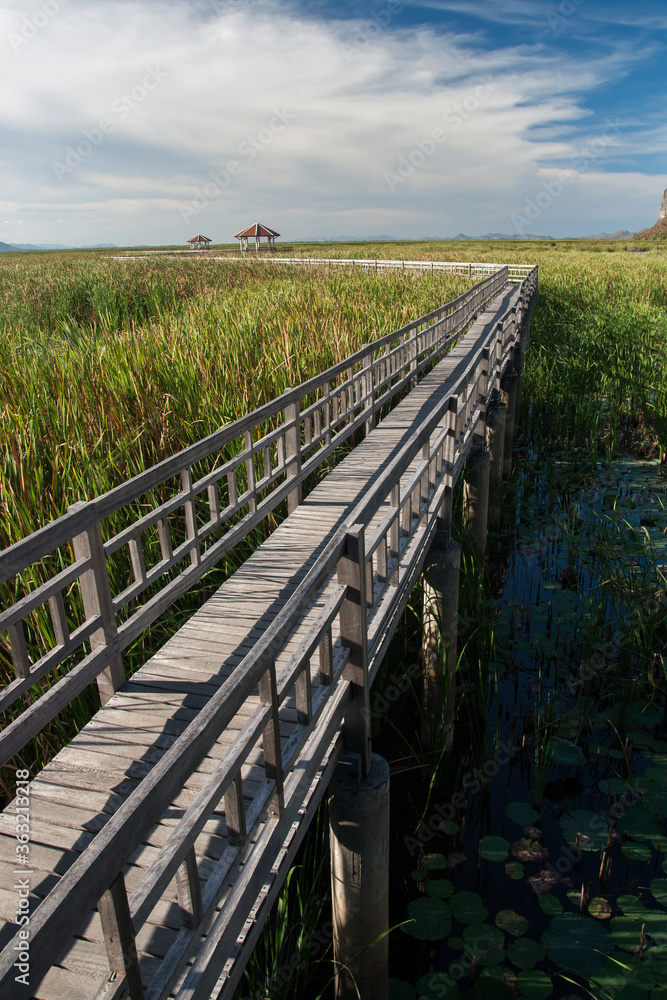 Bueng Bua Wood Boardwalk or Thung Sam Roi Yot National Park, Prachuap Khiri Khan Province, Thailand Bueng Bua Wood Boardwalk or Thung Sam Roi Yot National Park, Prachuap Khiri Khan Province, Thailand