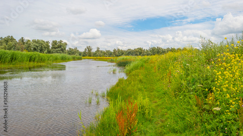 The edge of a lake in a green grassy natural park with wild flowers © Naj